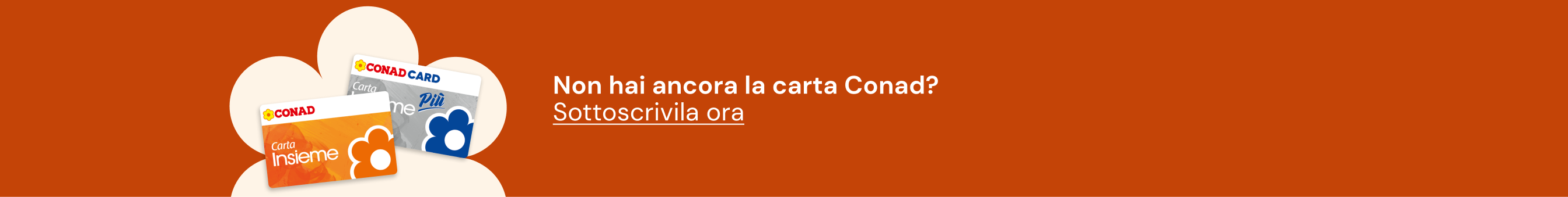 www.conad.click
