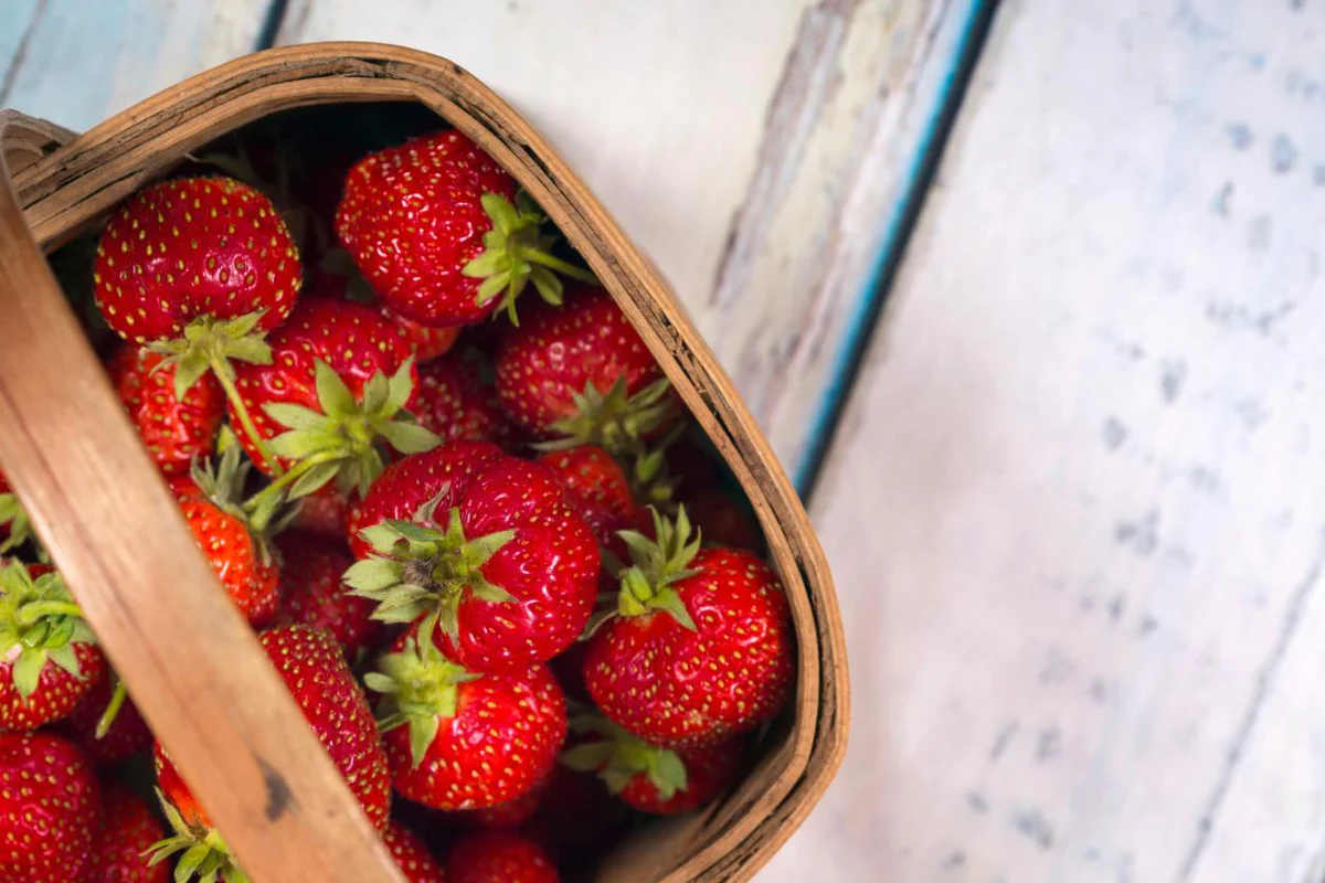 fragole