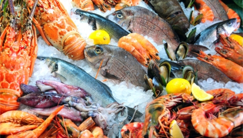 www.conad.click