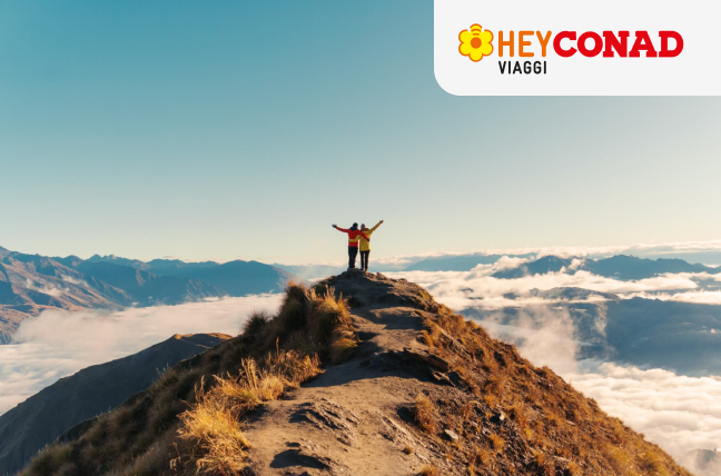 www.conad.click