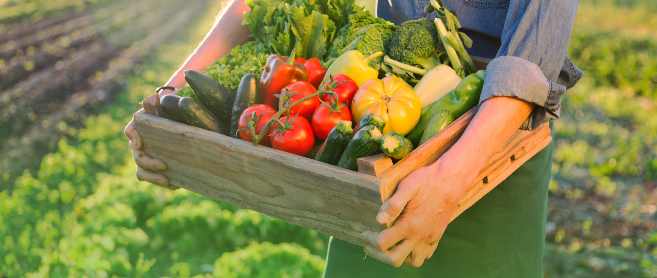 www.conad.click