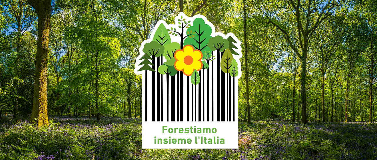 www.conad.click
