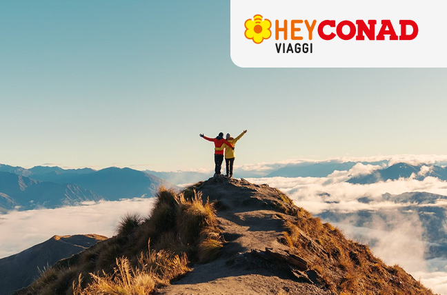www.conad.click